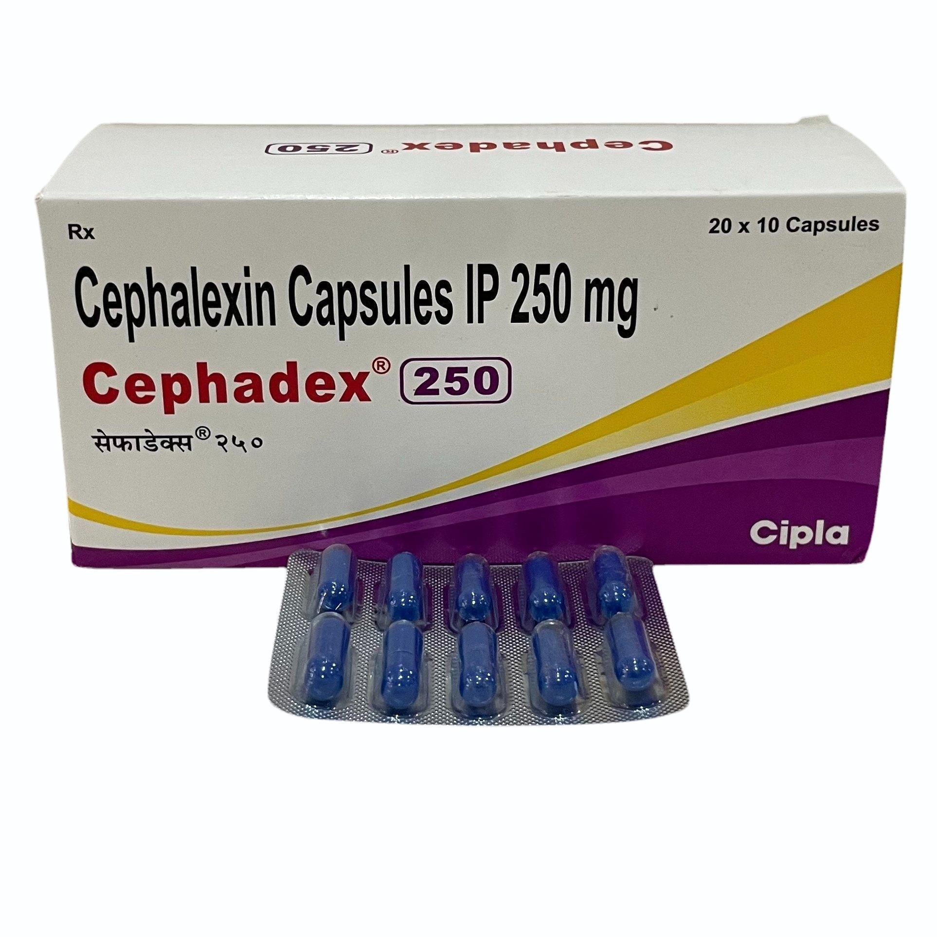 Cephadex 250 (250mg Cephalexin)